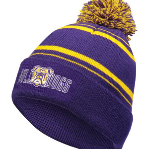 Homecoming Beanie