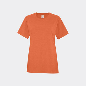 Ladies Earth Wash Tee